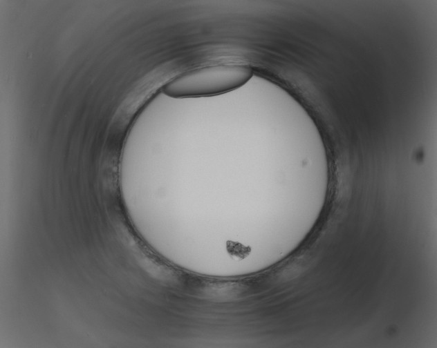 X0000115841225200912242010