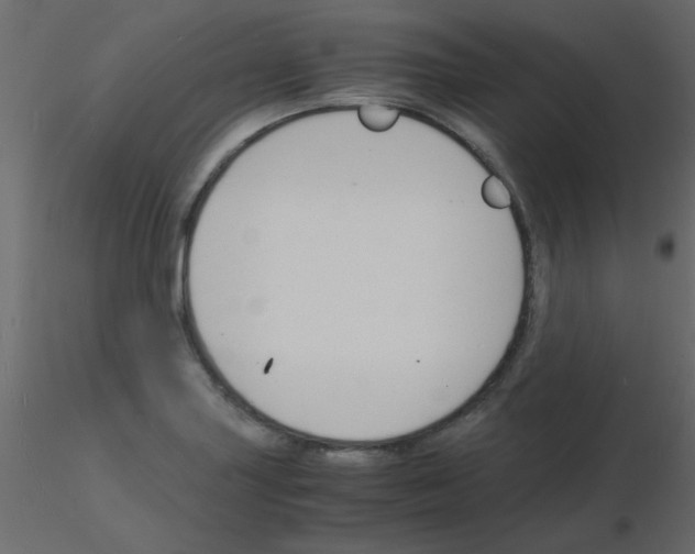 X0000115841227200912242010