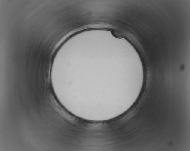 X0000115841228200912242010