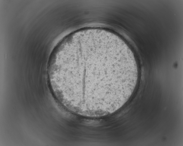 X0000115841229200912242010