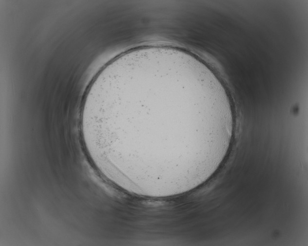 X0000115841231200912242010