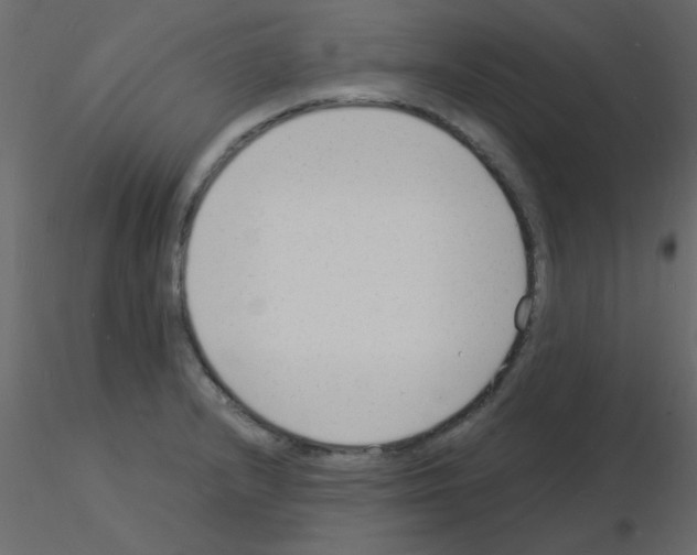 X0000115841232200912242010