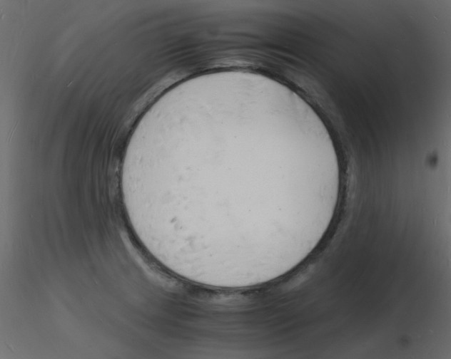 X0000115841233200912242010