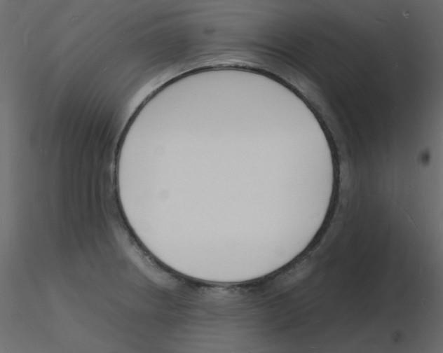 X0000115841234200912242010