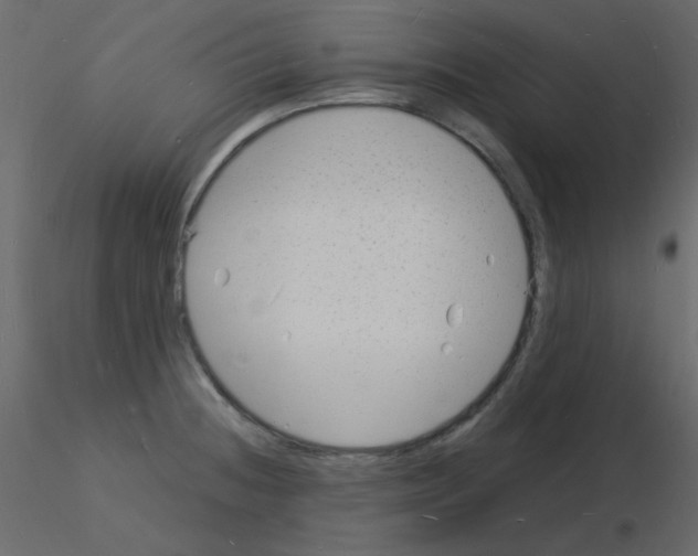 X0000115841236200912242010