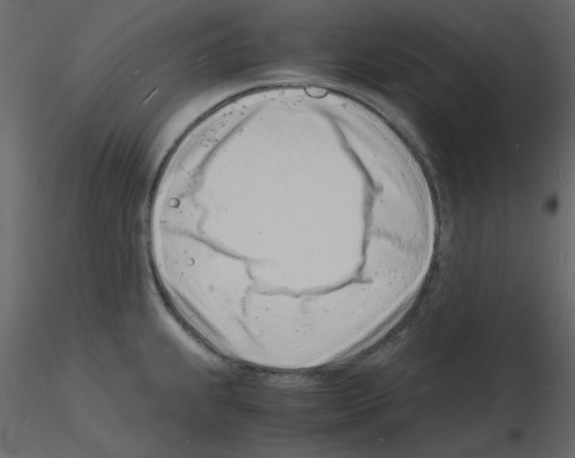 X0000115841239200912242010