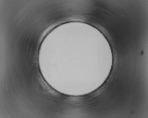 X0000115841240200912242010