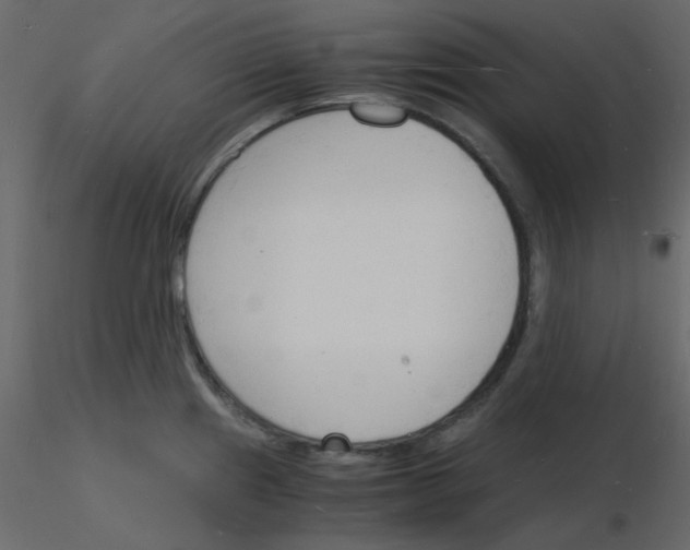 X0000115841241200912242010