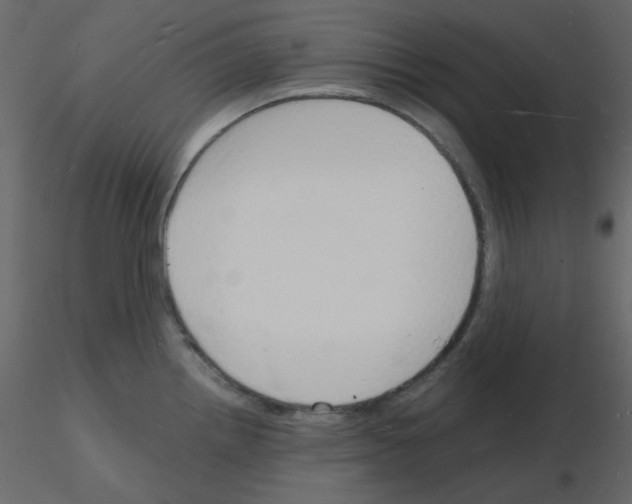 X0000115841242200912242010