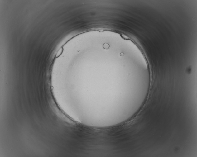 X0000115841243200912242010