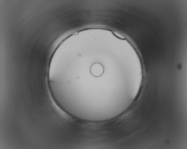 X0000115841245200912242010