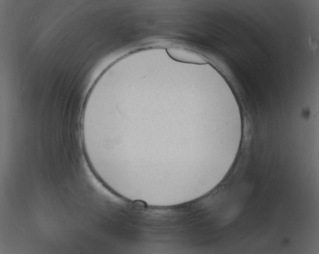 X0000115841247200912242010