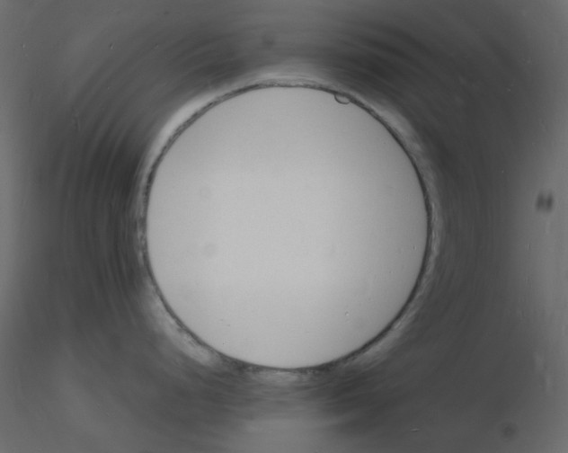 X0000115841248200912242010