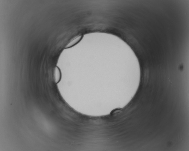 X0000115841250200912242009