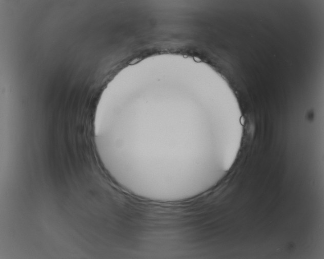 X0000115841252200912242009