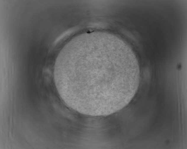 X0000115841254200912242009