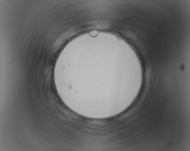 X0000115841257200912242009