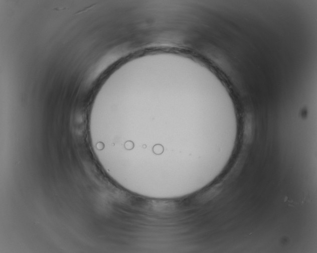 X0000115841258200912242009