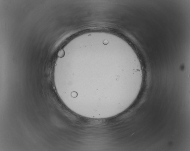 X0000115841259200912242009