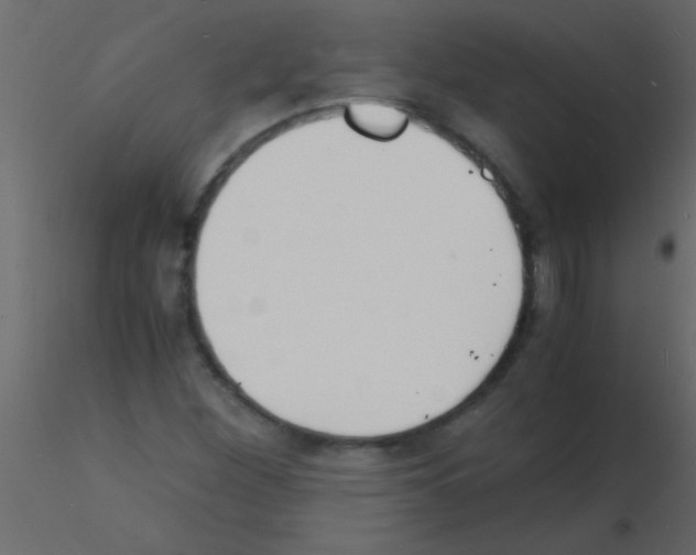 X0000115841260200912242009