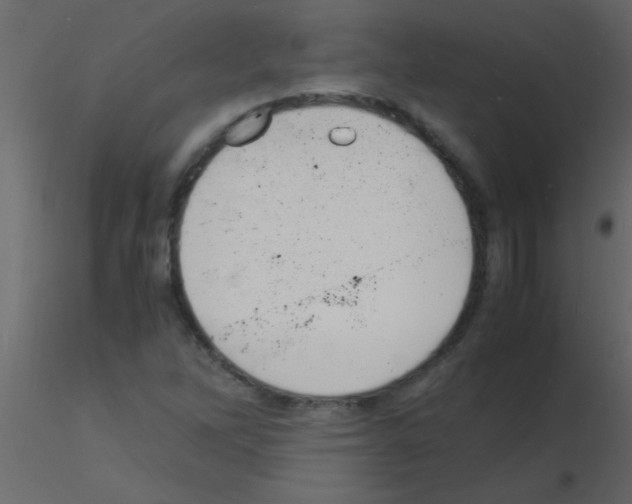 X0000115841262200912242009