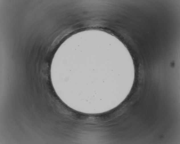 X0000115841265200912242009