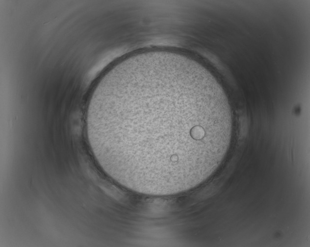 X0000115841266200912242009