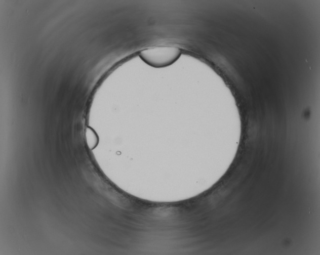 X0000115841268200912242009