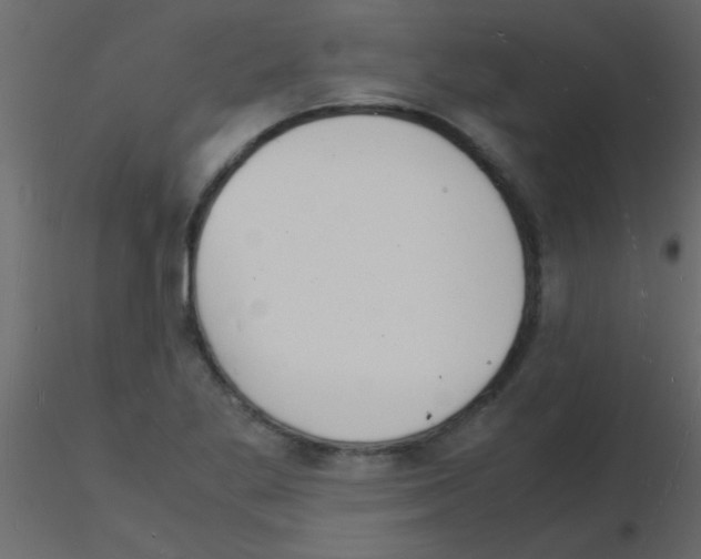 X0000115841269200912242009