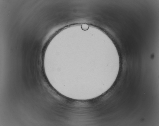 X0000115841270200912242009