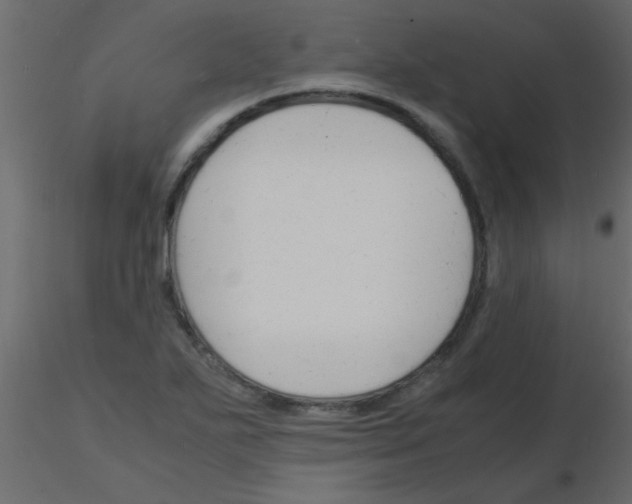 X0000115841271200912242009