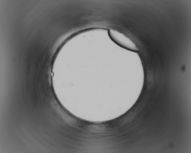 X0000115841272200912242009