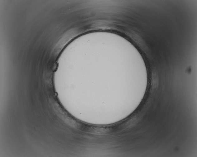 X0000115841273200912242009