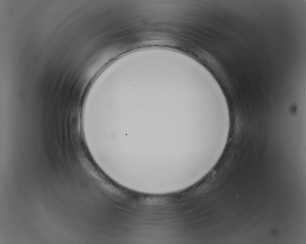 X0000115841274200912242009