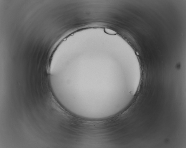 X0000115841276200912242009