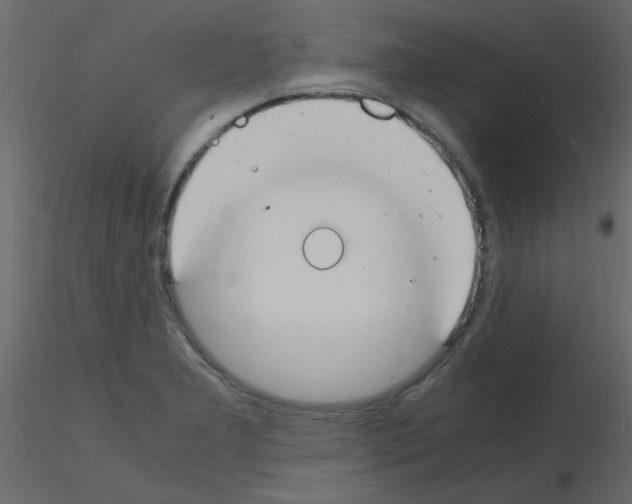 X0000115841277200912242009