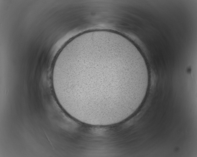 X0000115841278200912242009