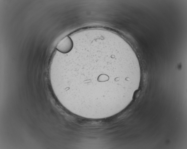 X0000115841279200912242009