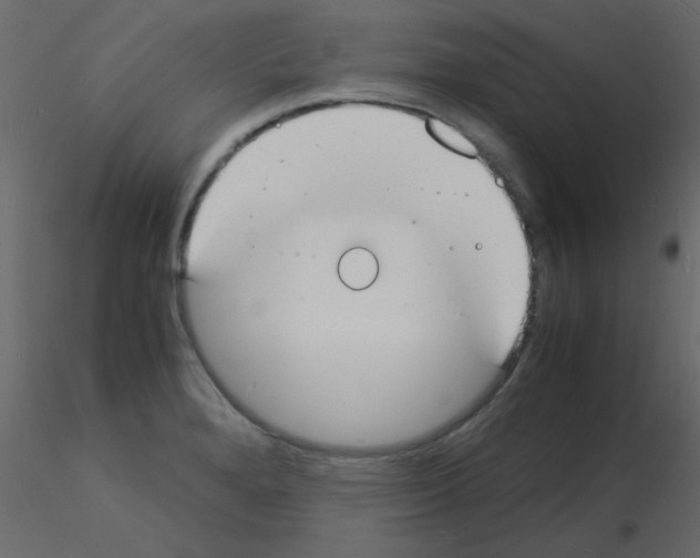 X0000115841280200912242009