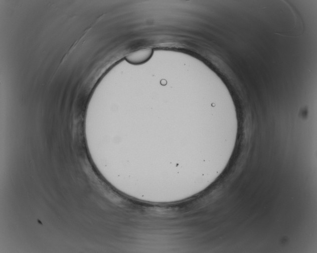 X0000115841281200912242009