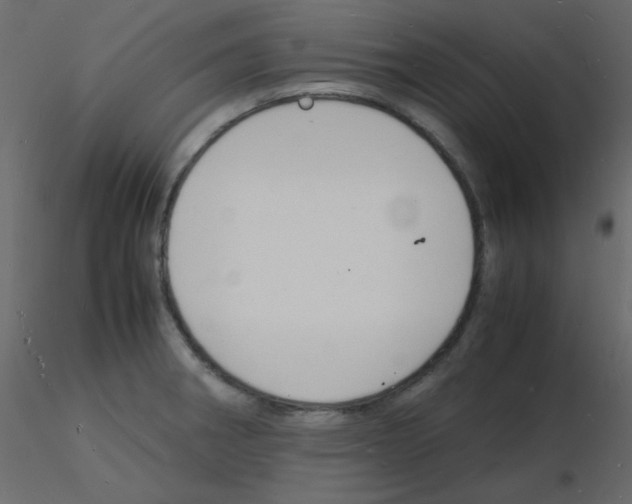 X0000115841282200912242009