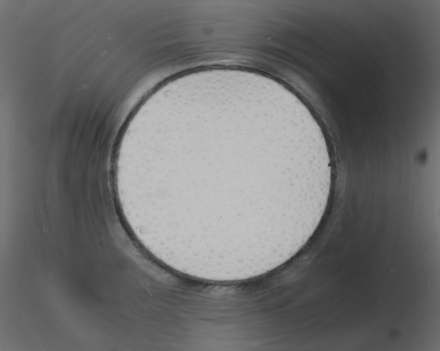 X0000115841283200912242009