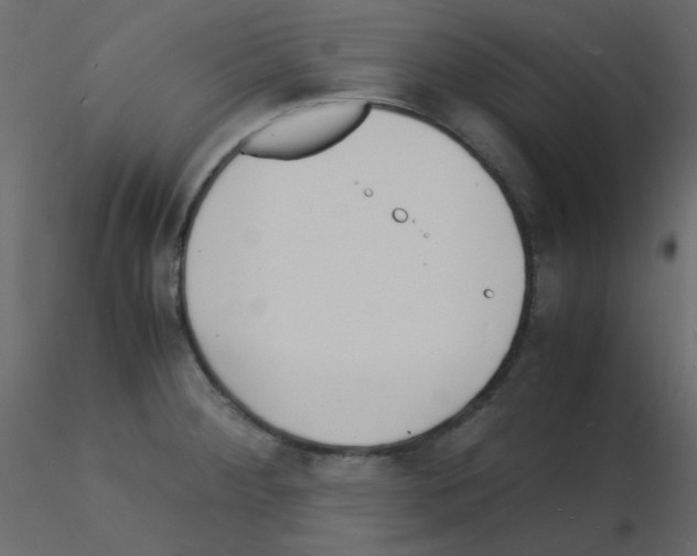 X0000115841284200912242009