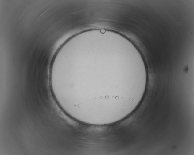 X0000115841286200912242009