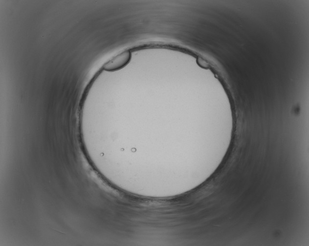 X0000115841287200912242009