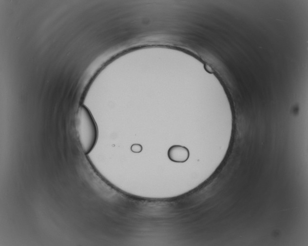 X0000115841288200912242009