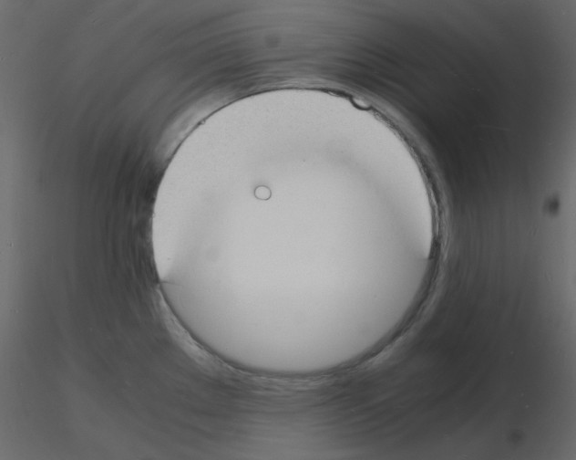 X0000115841289200912242009