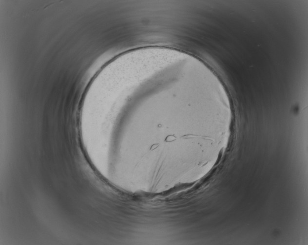 X0000115841291200912242009