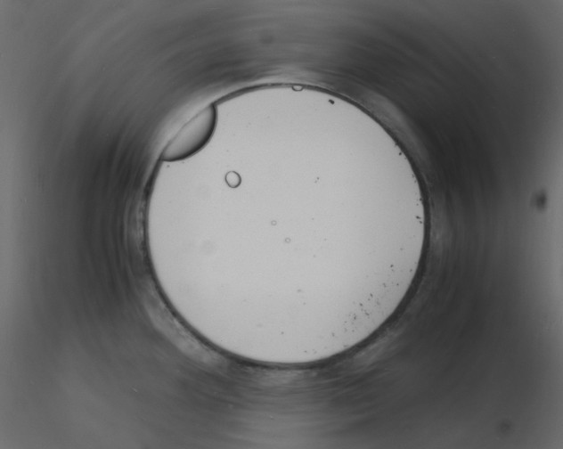 X0000115841292200912242009