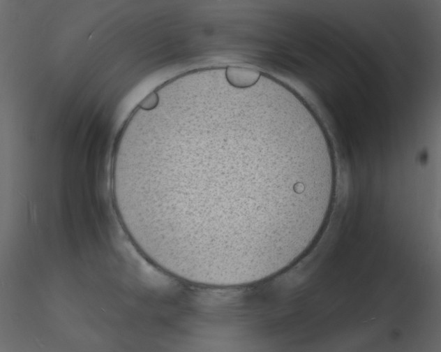 X0000115841294200912242009